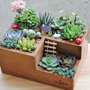 Meet your Posher, Fernando